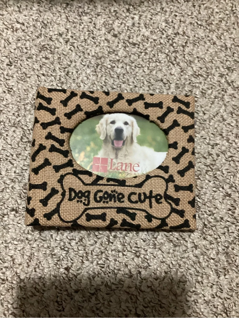 Dog Gone Cute Burlap Photo Album - Holds 80 4” X 6” Photos